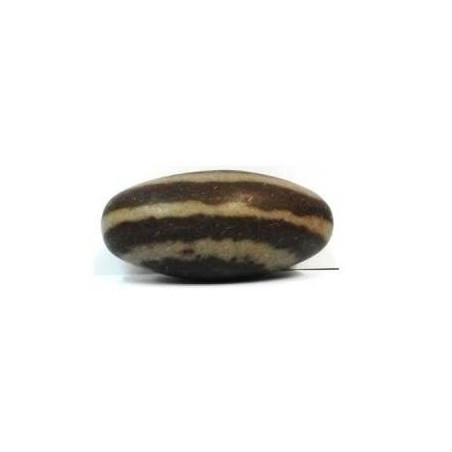 shiva lingam – media
