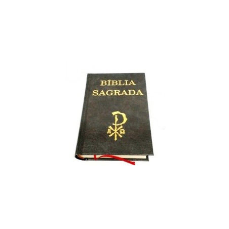 biblia sagrada – pequena