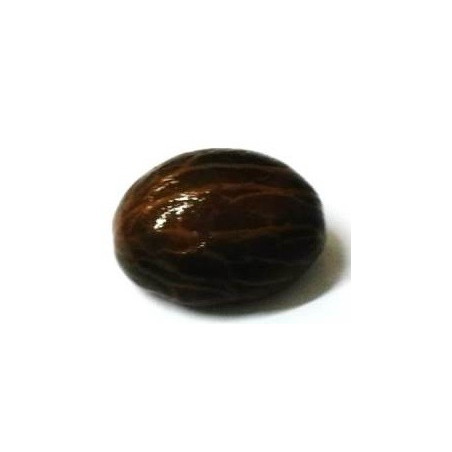 orobó – semente sagrada