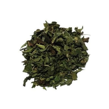 menta – folhas 50gr
