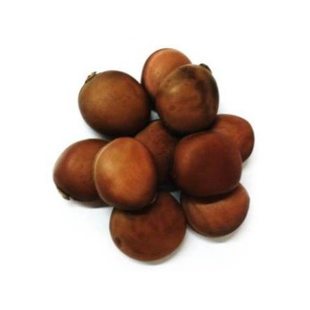 olho de boi – conjunto de 10