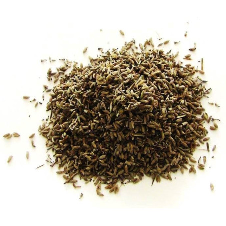 alfazema – planta 100gr