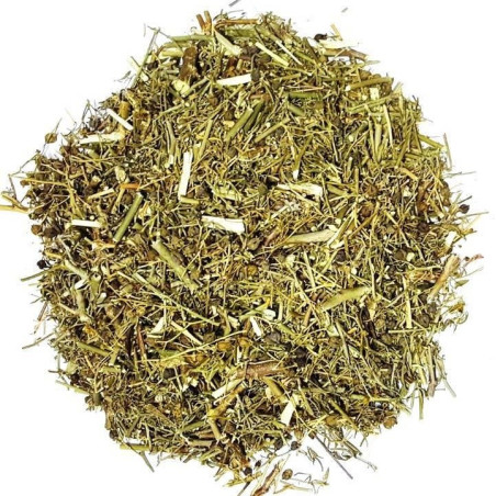 arruda – planta 100gr