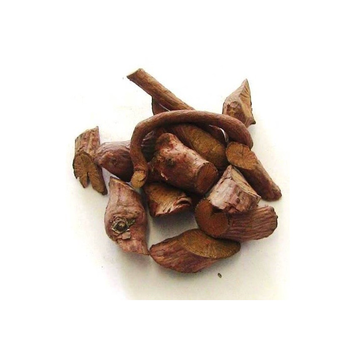 cipó caboclo – planta 100gr