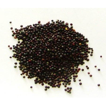 mostarda – grãos (sementes) 20gr