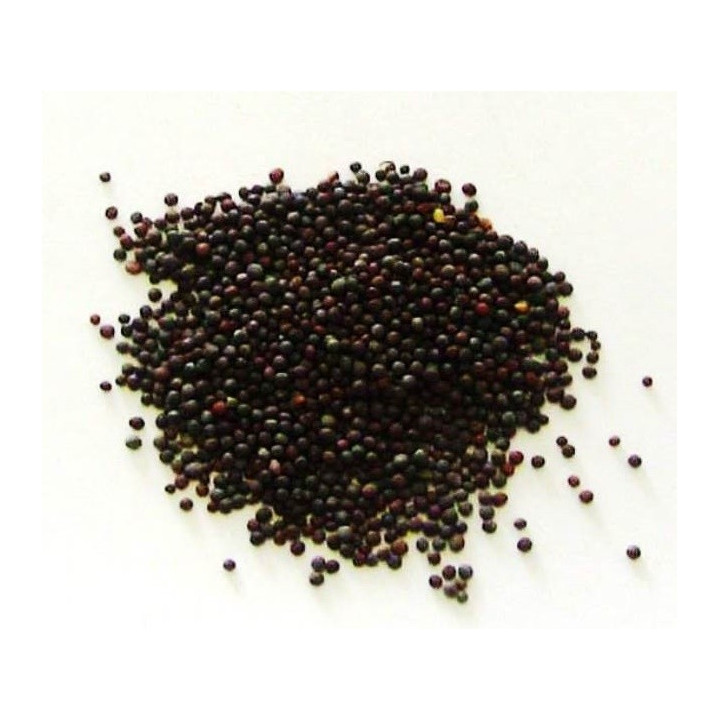 mostarda – grãos (sementes) 50gr