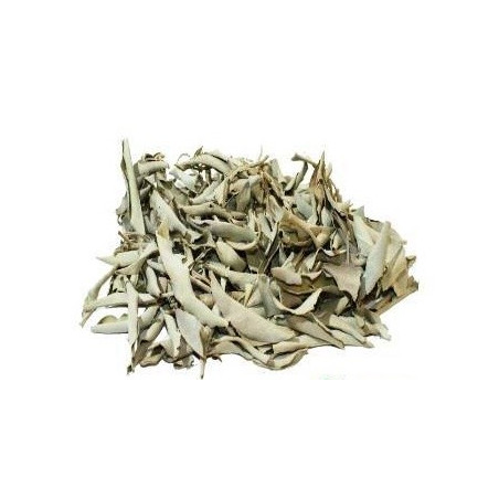 salvia branca – planta 50gr
