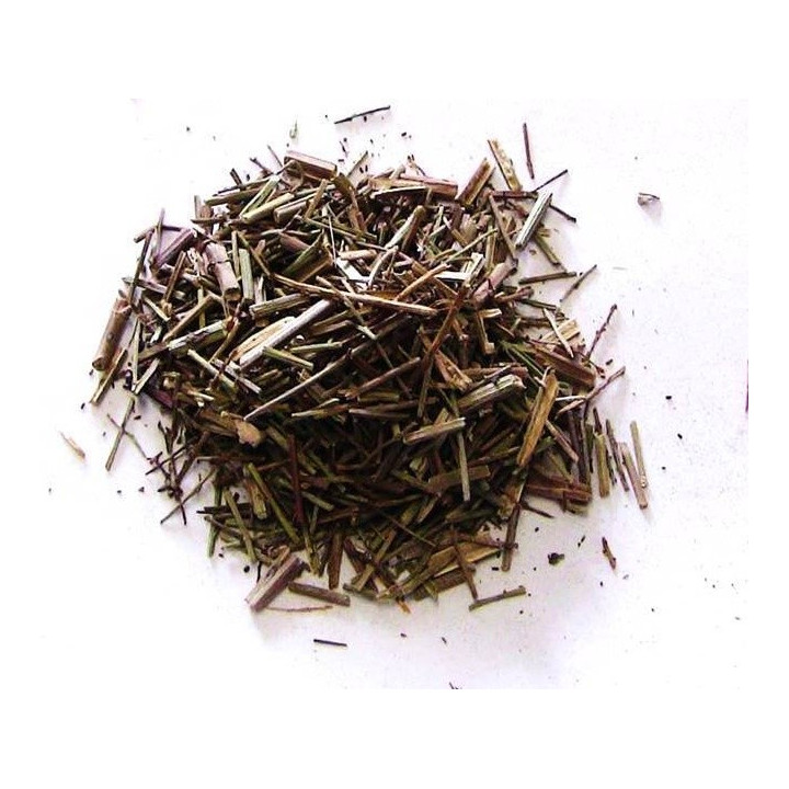 verbena – planta 100gr