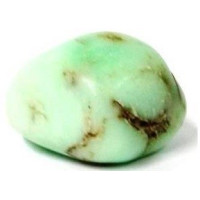 crisopasio – media