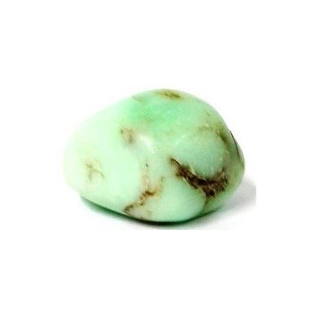 crisopasio – media