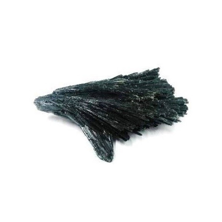 cianite negra – vassourinha da bruxa 40-50gr