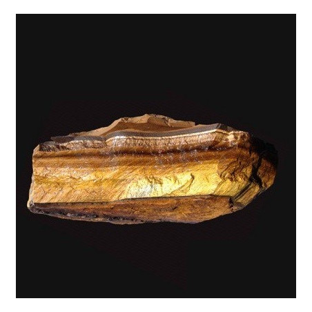 olho de tigre – bruto