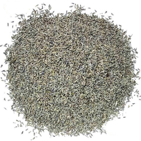 alfazema – planta 1kg