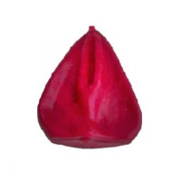 vela vagina vermelha