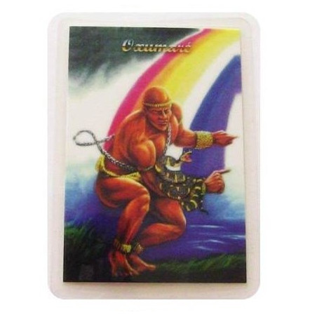 cartão dos orixás – oxumaré