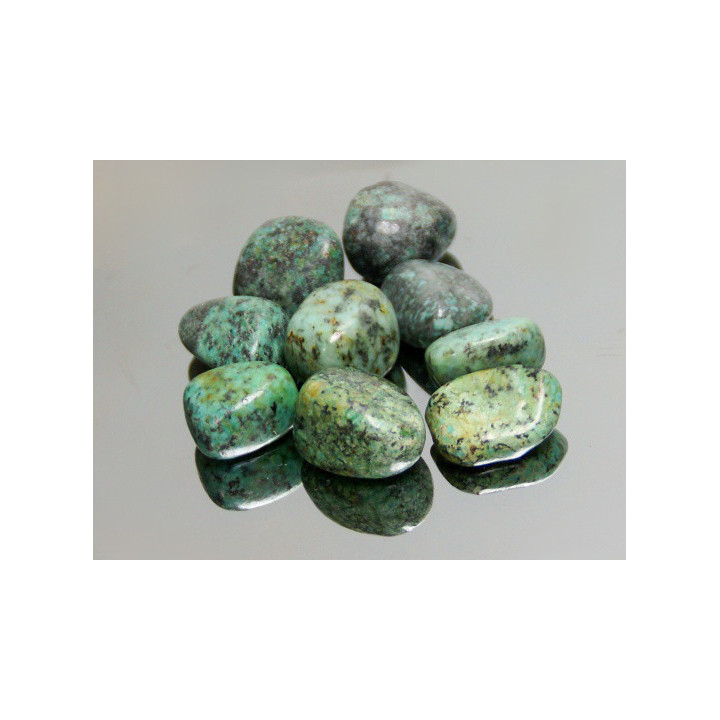 Turquesa Africana - Media