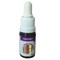 Floral Monterey - 10ml