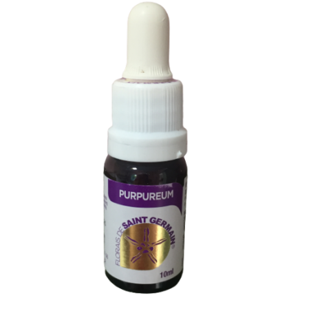 Floral Purpureum - 10ml