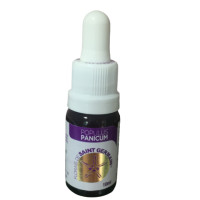 Floral Populus Panicum - 10ml