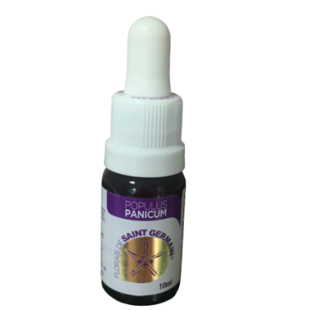 Floral Populus Panicum - 10ml