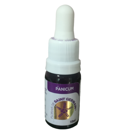 Floral Panicum - 10ml