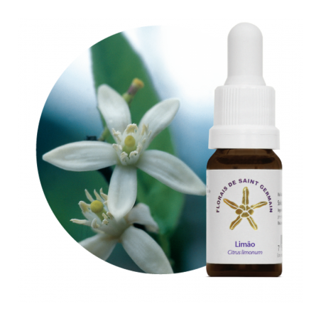 Floral Limão - 10ml