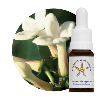 Floral Jasmim Madagascar - 10ml