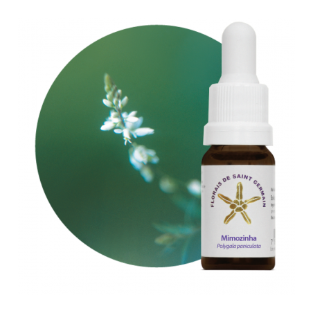 Floral Mimozinha - 10ml