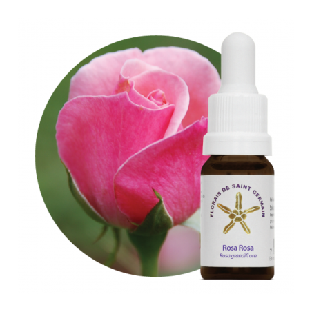 Floral Rosa Rosa - 10ml