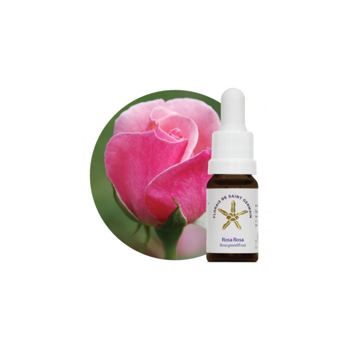 Floral Rosa Rosa - 10ml