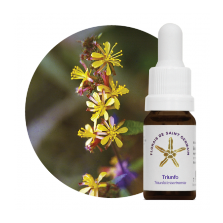Floral Triunfo - 10ml