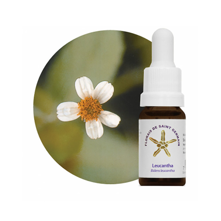 Floral Leucantha - 10ml