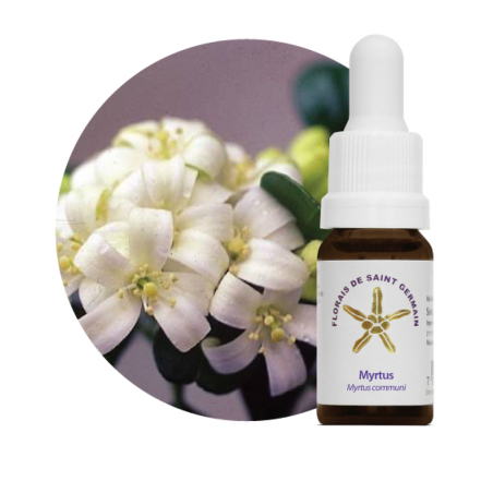 Floral Myrtus - 10ml