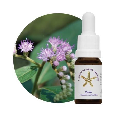 Floral Varus - 10ml