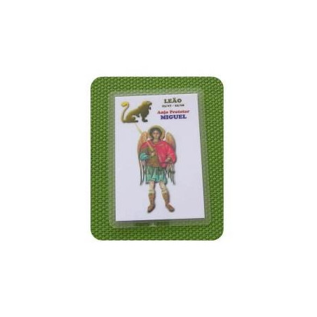 cartão signo – leão/miguel