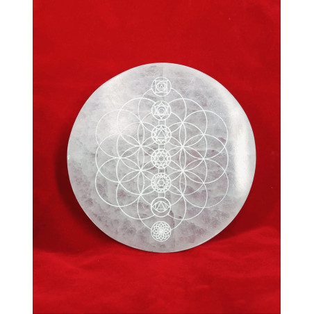 Placa Energética de Selenite - Flor da Vida & Chakras 14cm