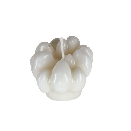 Vela - Cabeça de Alho