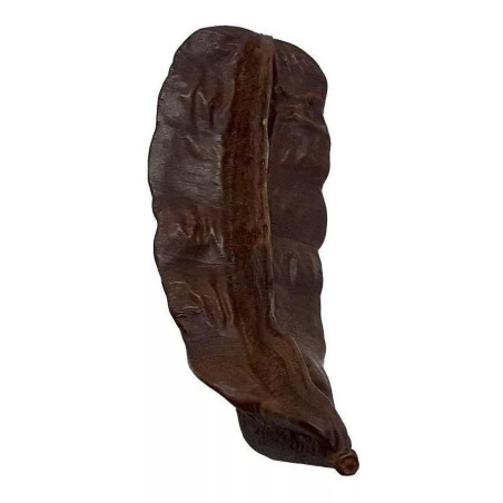 Fava Aridá - Grande