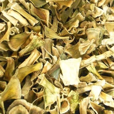 Erva Espada de São Jorge - 50Gr