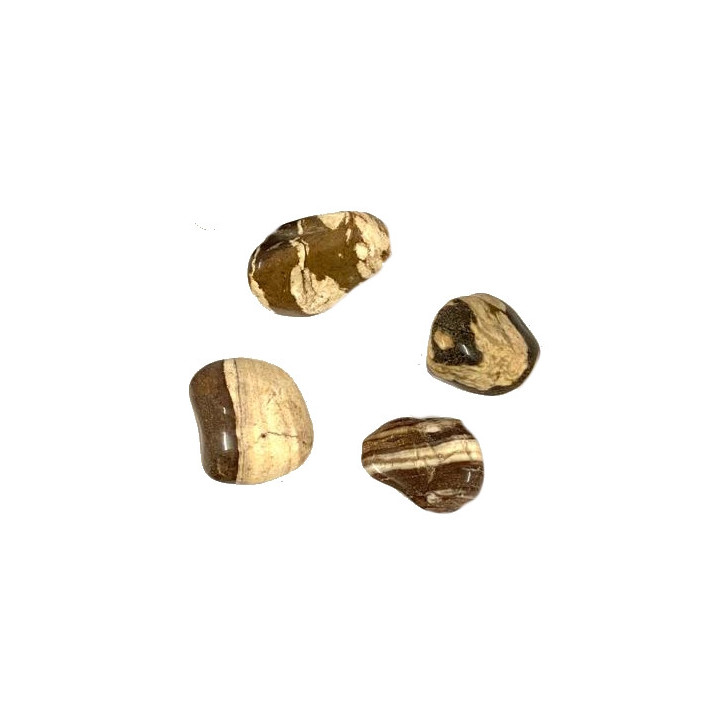 jaspe cobra – media